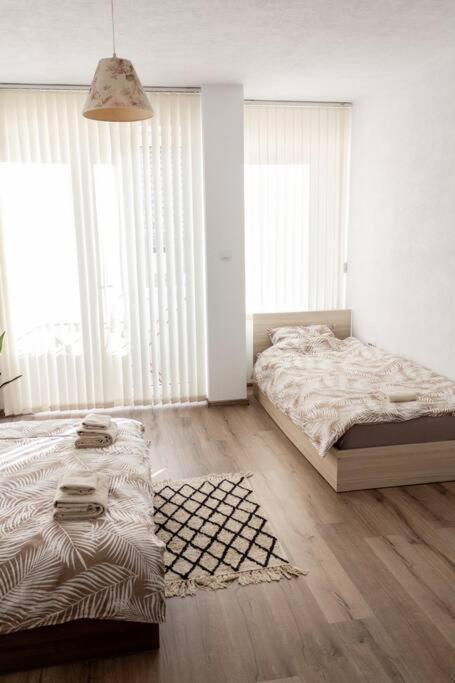 Borilov City Center Apartment Sandanski Dış mekan fotoğraf